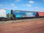 RUMO HTT-845208-3